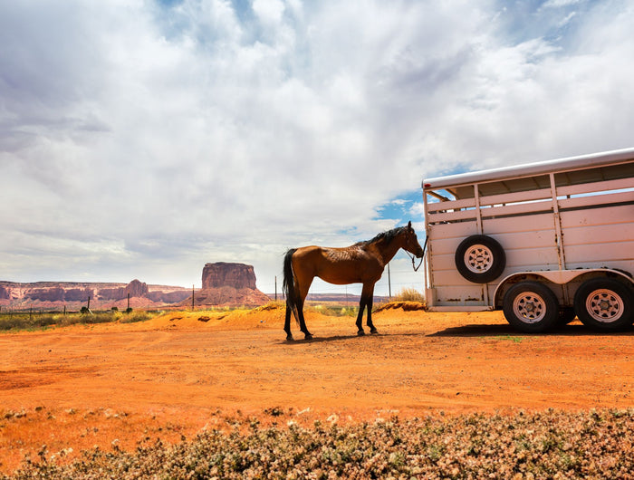 <h1>Horse Floats</h1>